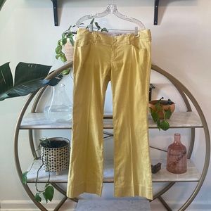 Level 99 pant with a flare leg
